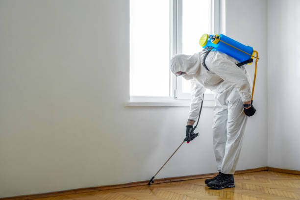 Best Mosquito Control Services  in Beebe, AR