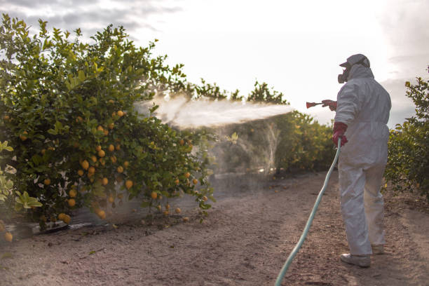 Beebe, AR Pest Control Company