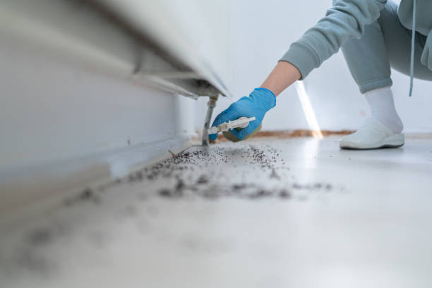 Best Cockroach Control Services  in Beebe, AR